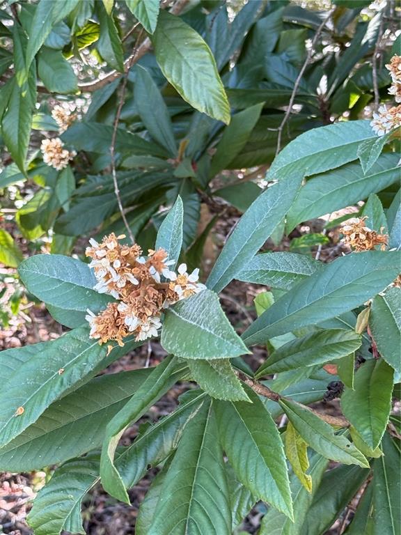 0 Southwest 2nd Place Ocala, FL 34474 - Photo 13 of 16 a view of a play ground
