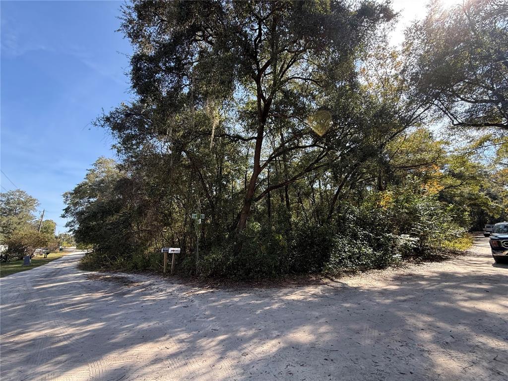 0 Southwest 2nd Place Ocala, FL 34474 - Photo 4 of 16 a view of a yard with a tree