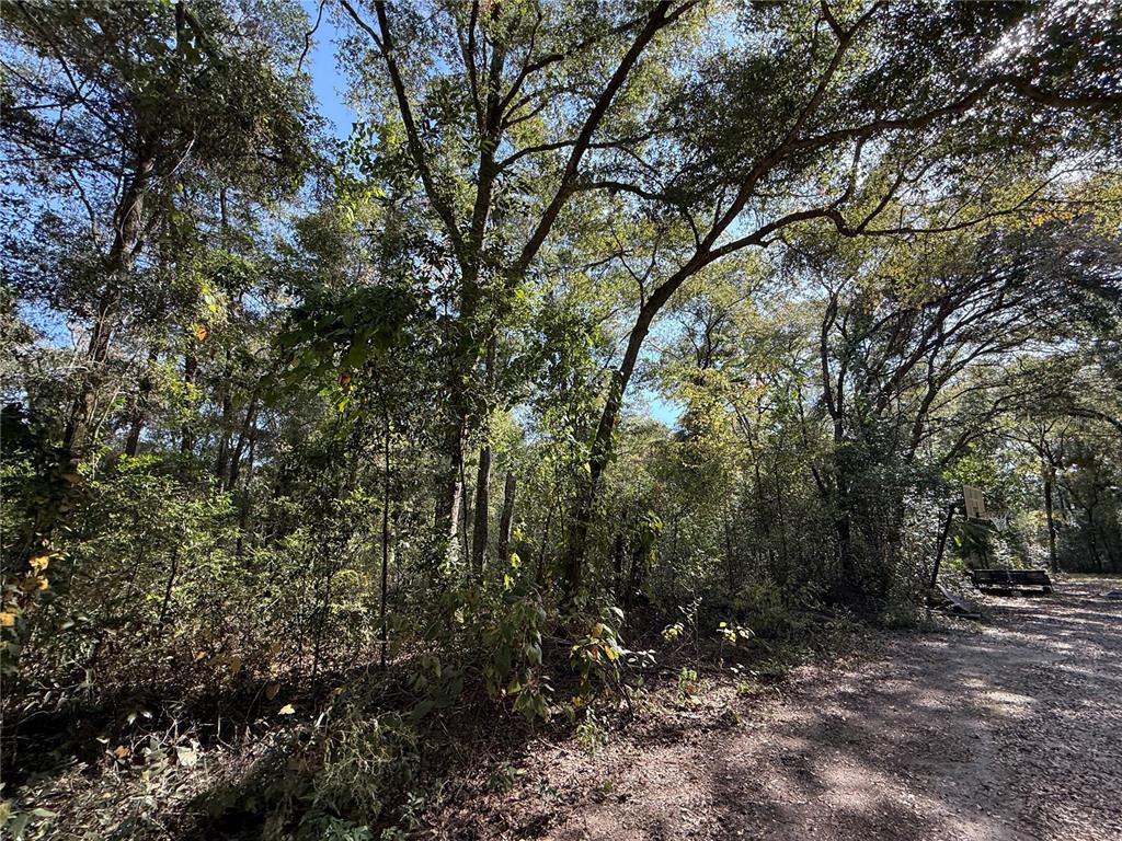 0 Southwest 2nd Place Ocala, FL 34474 - Photo 6 of 16