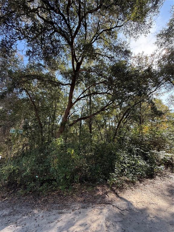 0 Southwest 2nd Place Ocala, FL 34474 - Photo 10 of 16 a view of a forest with trees in front of it
