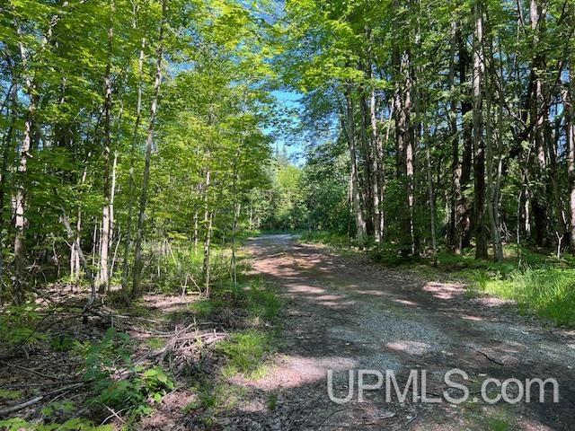 11.6 Acres Off Remington Road Marquette, MI 49855 - Photo 10 of 39