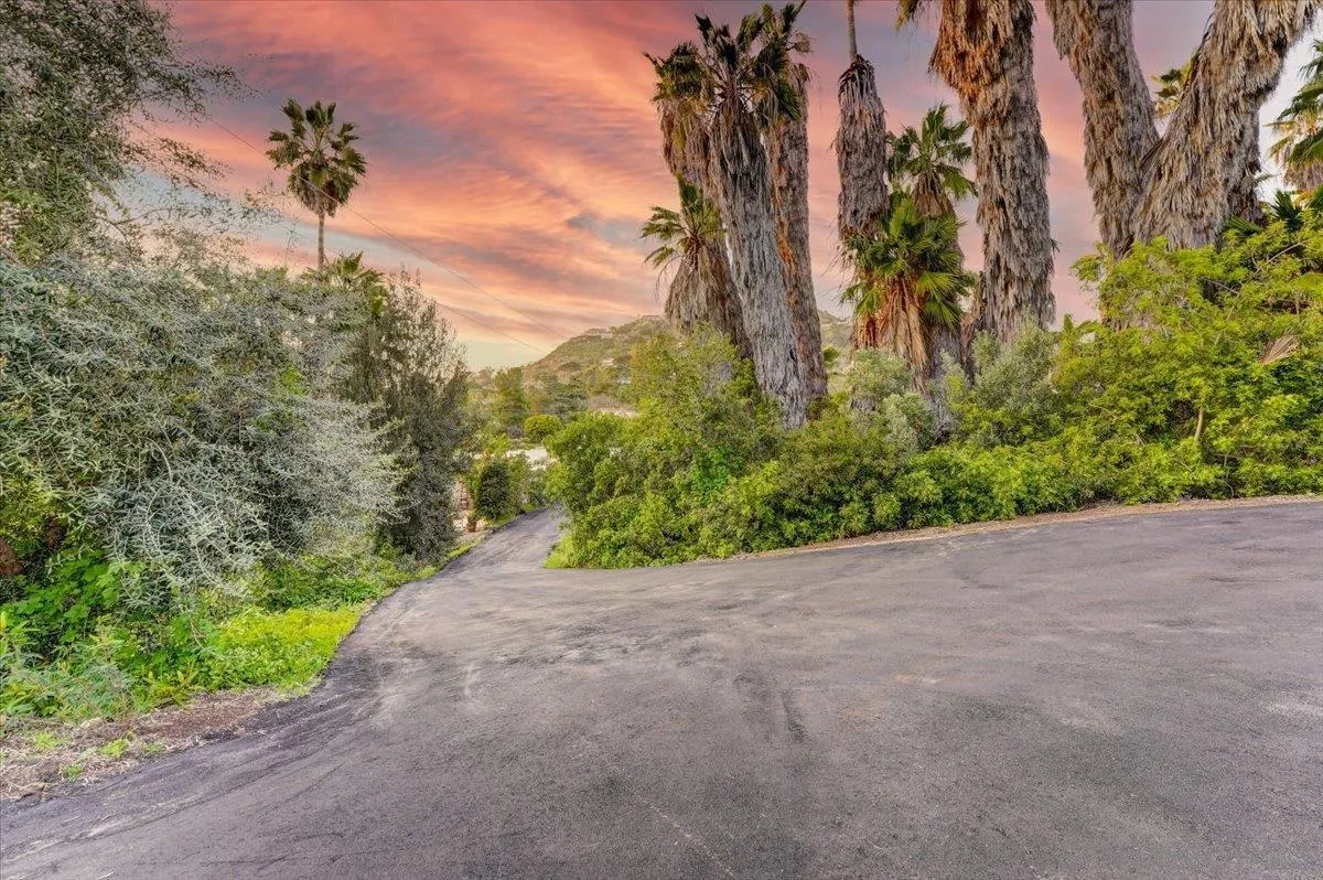4561 Conrad Drive La Mesa, CA 91941 - Photo 52 of 59 a view of a plants with a tree