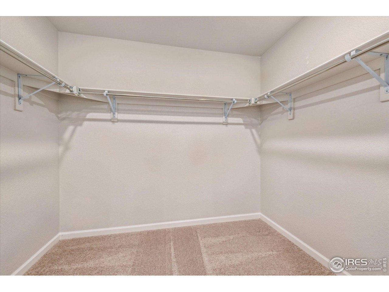 882 Mesic Lane Windsor, CO 80550 - Photo 22 of 26 a view of an empty walk in closet