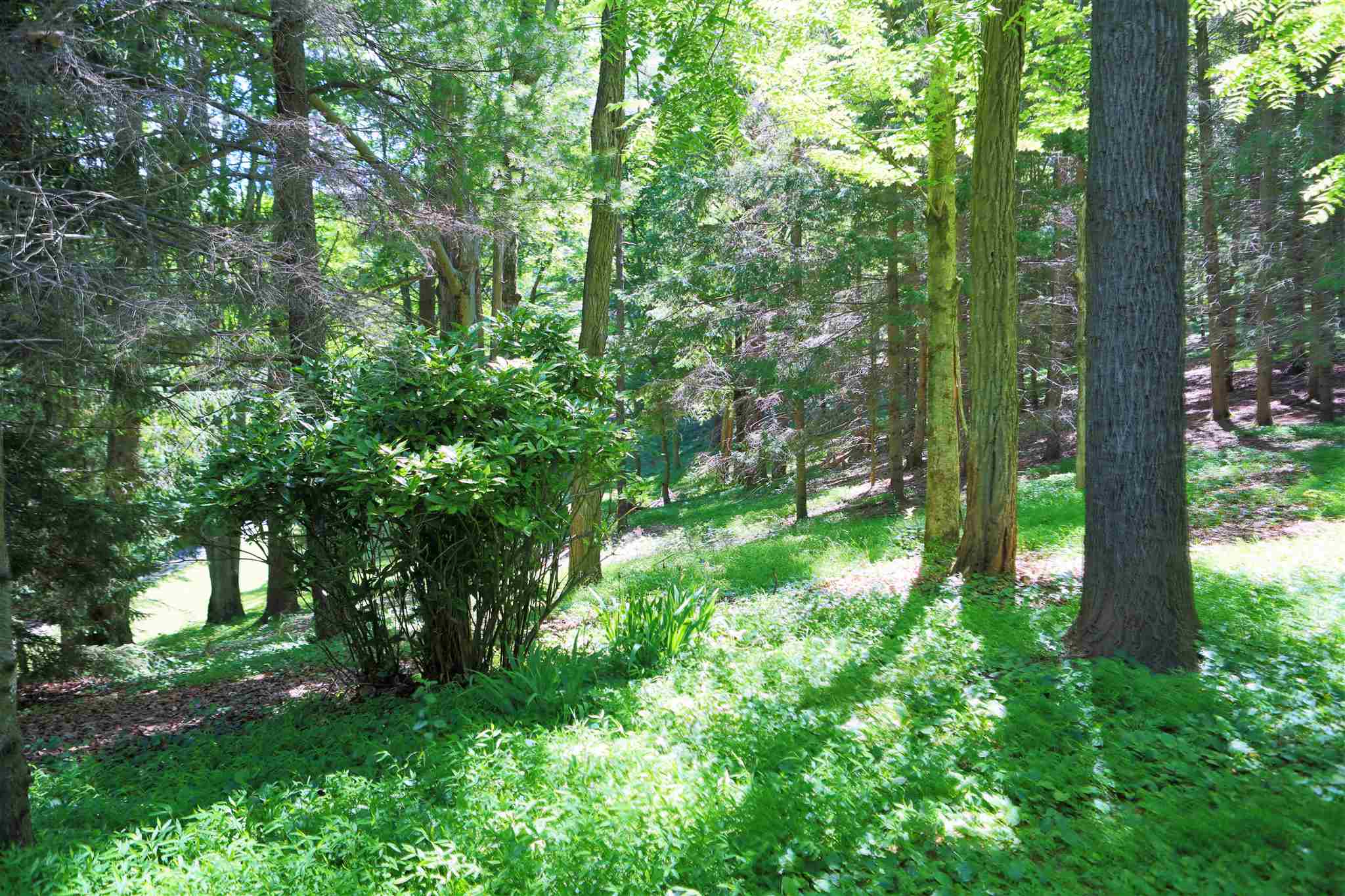 193 Reeds Gap Road Lyndhurst, VA 22952 - Photo 32 of 52 Gallery Image 32