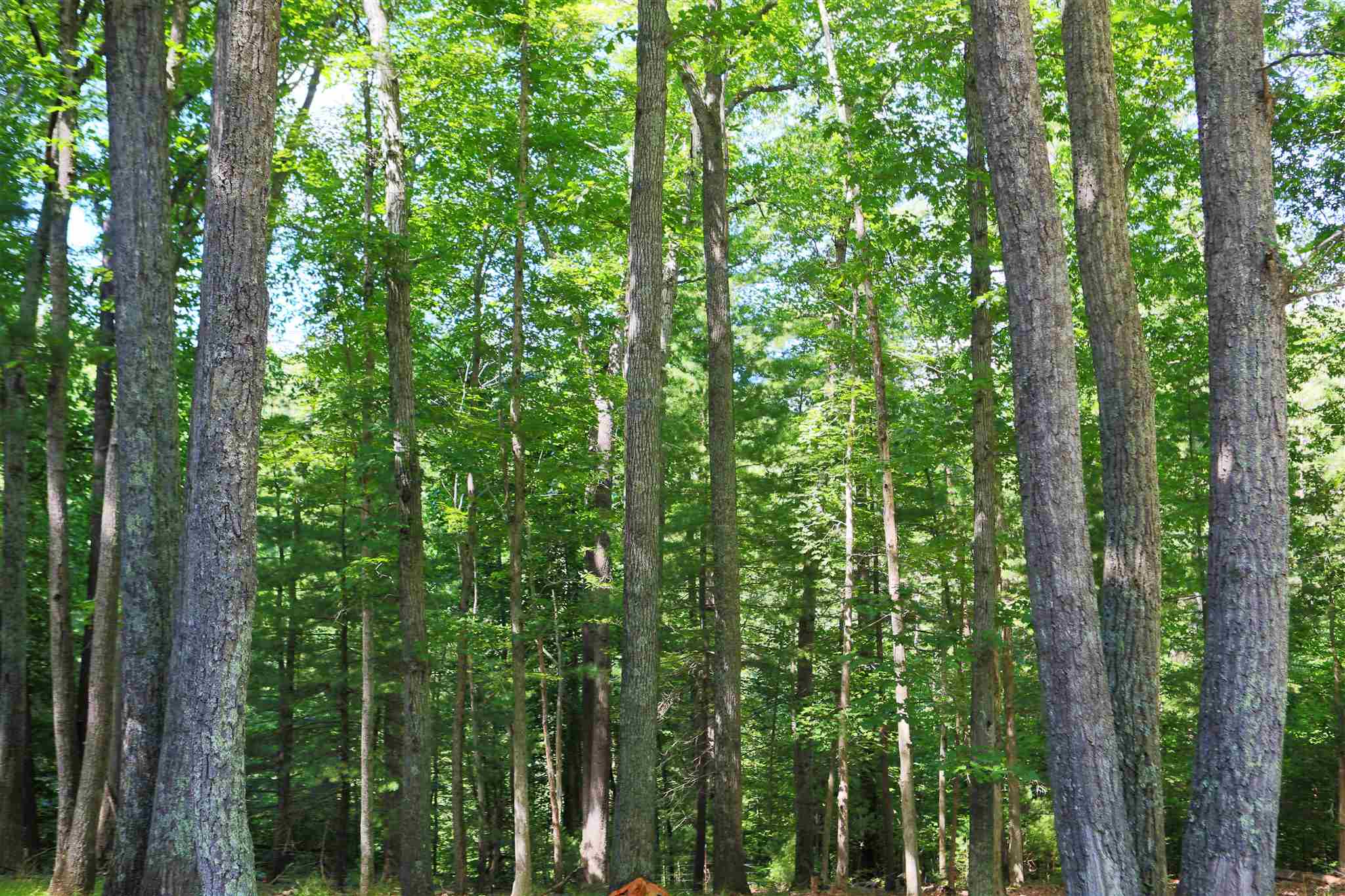 193 Reeds Gap Road Lyndhurst, VA 22952 - Photo 50 of 52 Gallery Image 50
