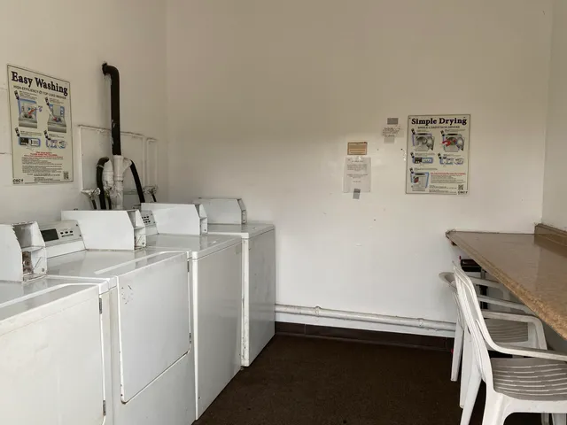 a view of a backyard with plants and a patio