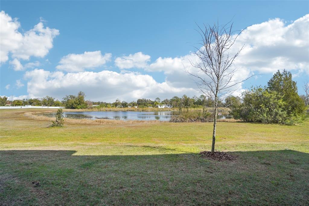 6252 Shiner Street Land O Lakes, FL 34638 - Photo 33 of 35