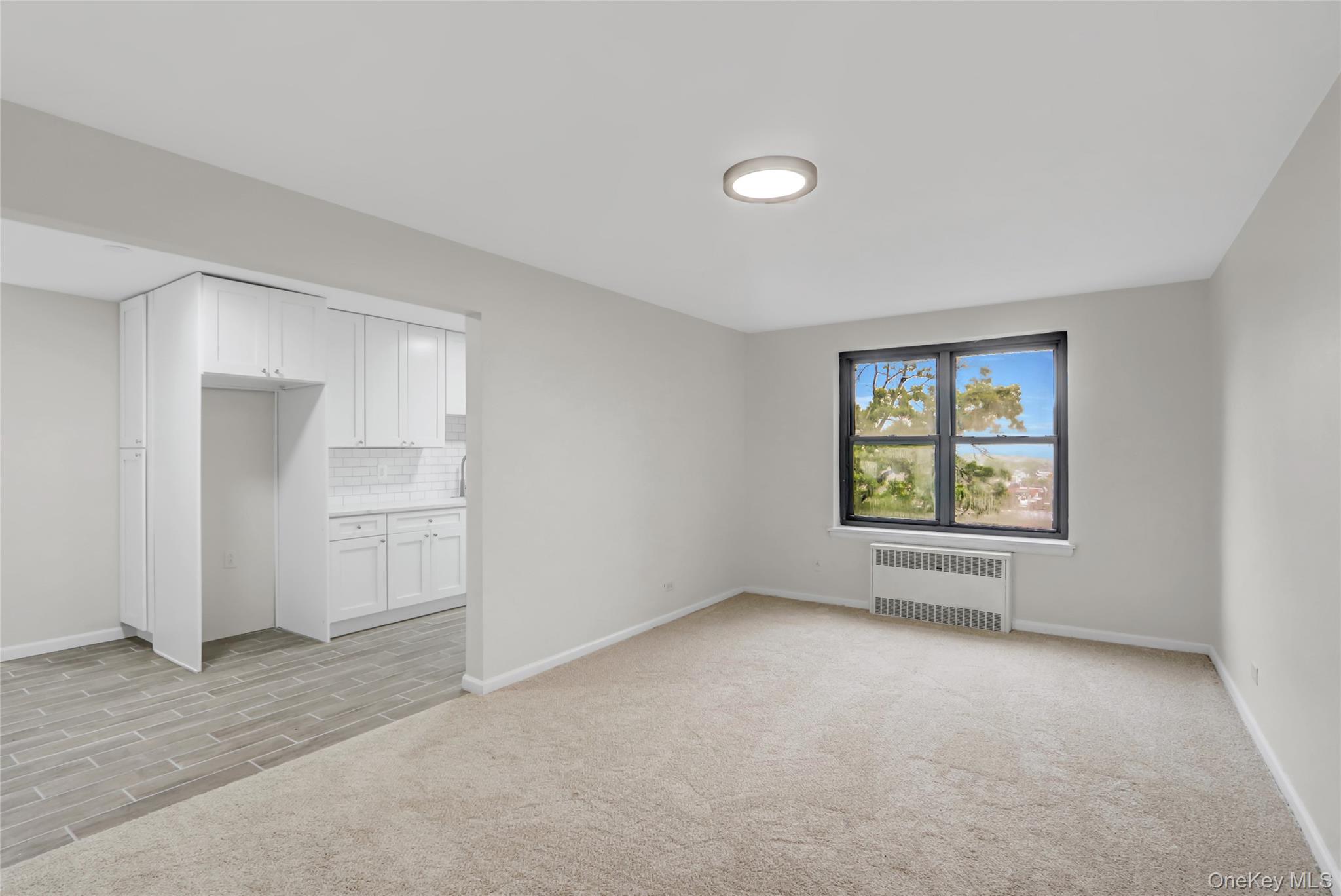 204-15 Foothill Avenue, Unit B53 Queens, NY 11427 - Photo 13 of 18 an empty room with a empty space and windows