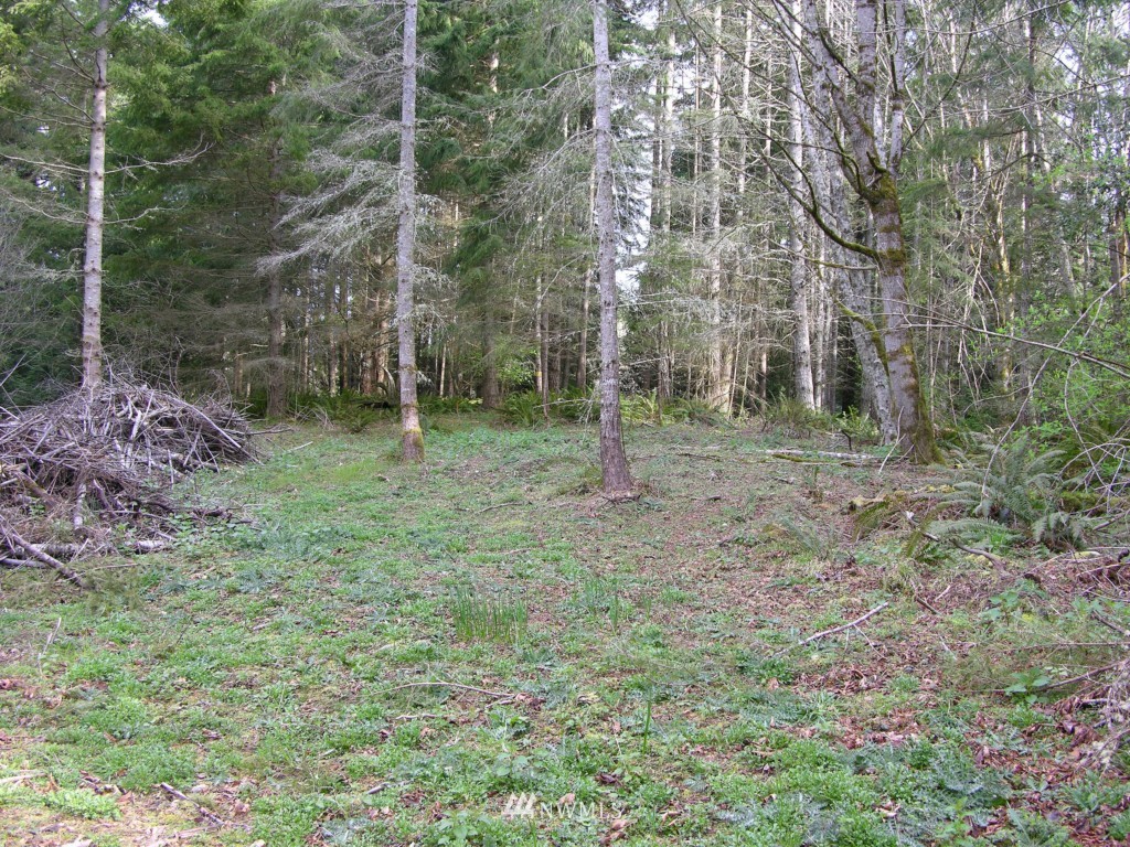 1 Northwest Vaa Road Poulsbo, WA 98370 - Photo 4 of 6 Gallery Image 4