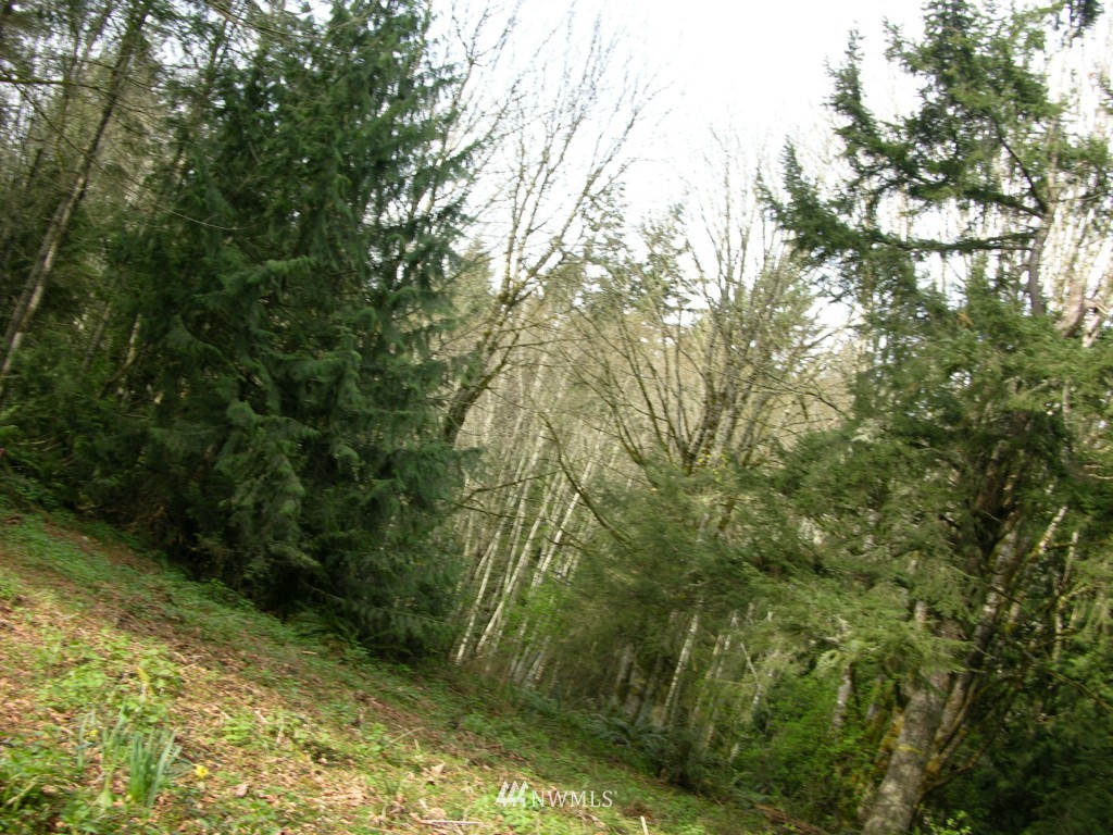 1 Northwest Vaa Road Poulsbo, WA 98370 - Photo 5 of 6 Gallery Image 5