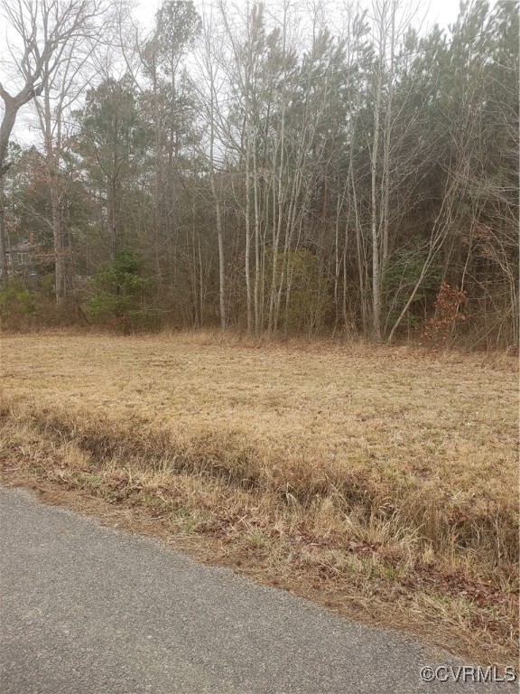 7016 Chippokes Road Spring Grove, VA 23881 - Photo 3 of 6 a view of a yard with trees
