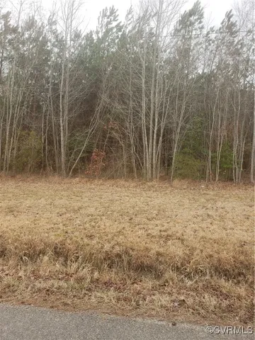 a view of room with trees
