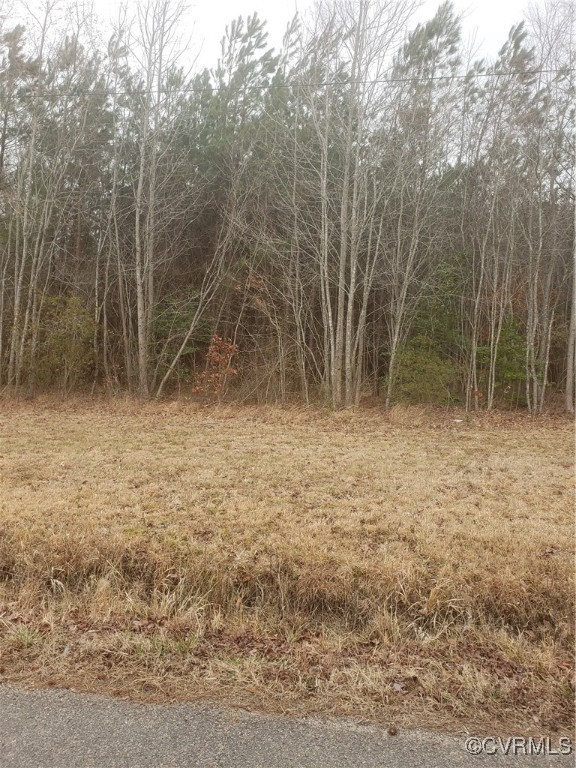 7016 Chippokes Road Spring Grove, VA 23881 - Photo 5 of 6 a view of room with trees