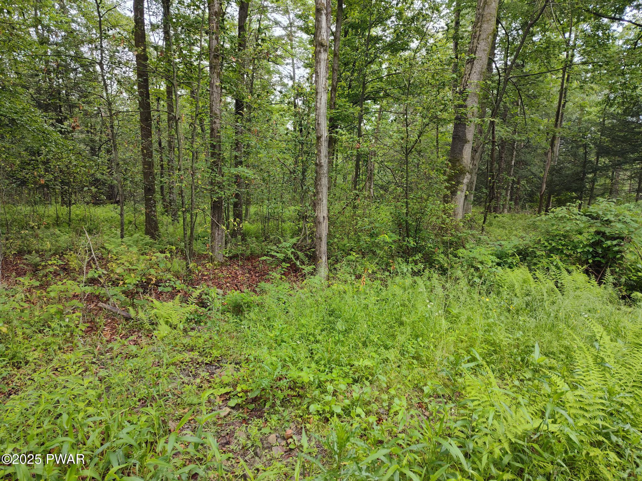 Lot 109 Aka) Gibralter Road Newfoundland, PA 18445 - Photo 11 of 19