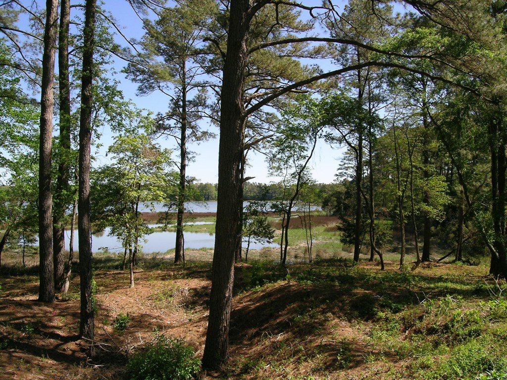 Lot1 Miles Wharf Road, Unit 1 Exmore, VA 23350 - Photo 15 of 33