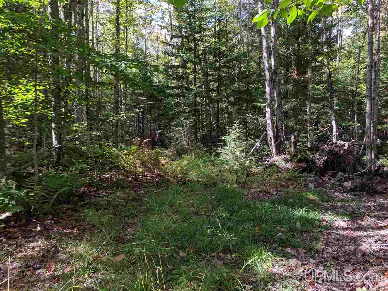 921 Sand River Road Deerton, MI 49822 - Photo 29 of 49 Gallery Image 29