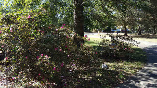 14610 Rdg Road East Summerdale, AL 36580 - Photo 5 of 19 Courtyard