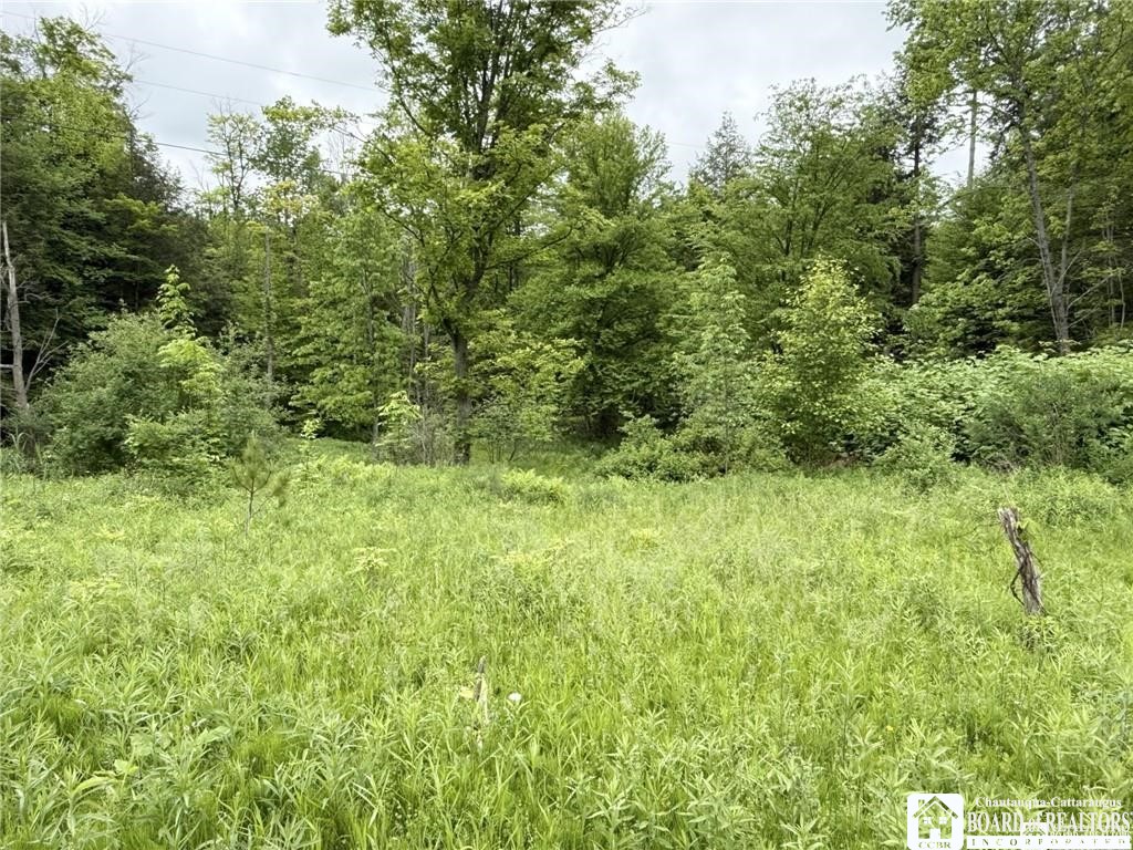 0 Luce Road Bemus Point, NY 14712 - Photo 16 of 39