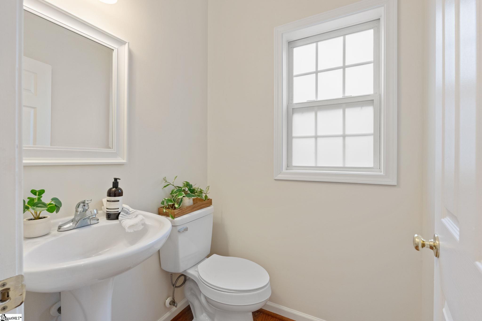 909 Morning Mist Lane Simpsonville, SC 29680 - Photo 20 of 46