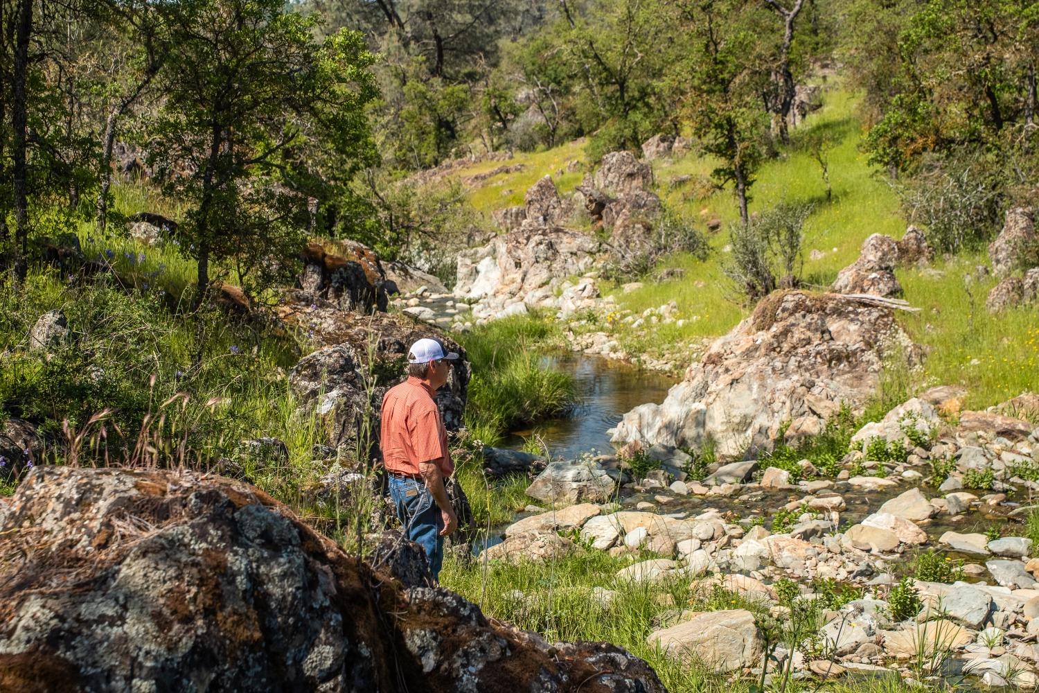 8591 Hogan Dam Road Valley Springs, CA 95252 - Photo 15 of 85 Seasonal Creek has waterfalls and swimming holes