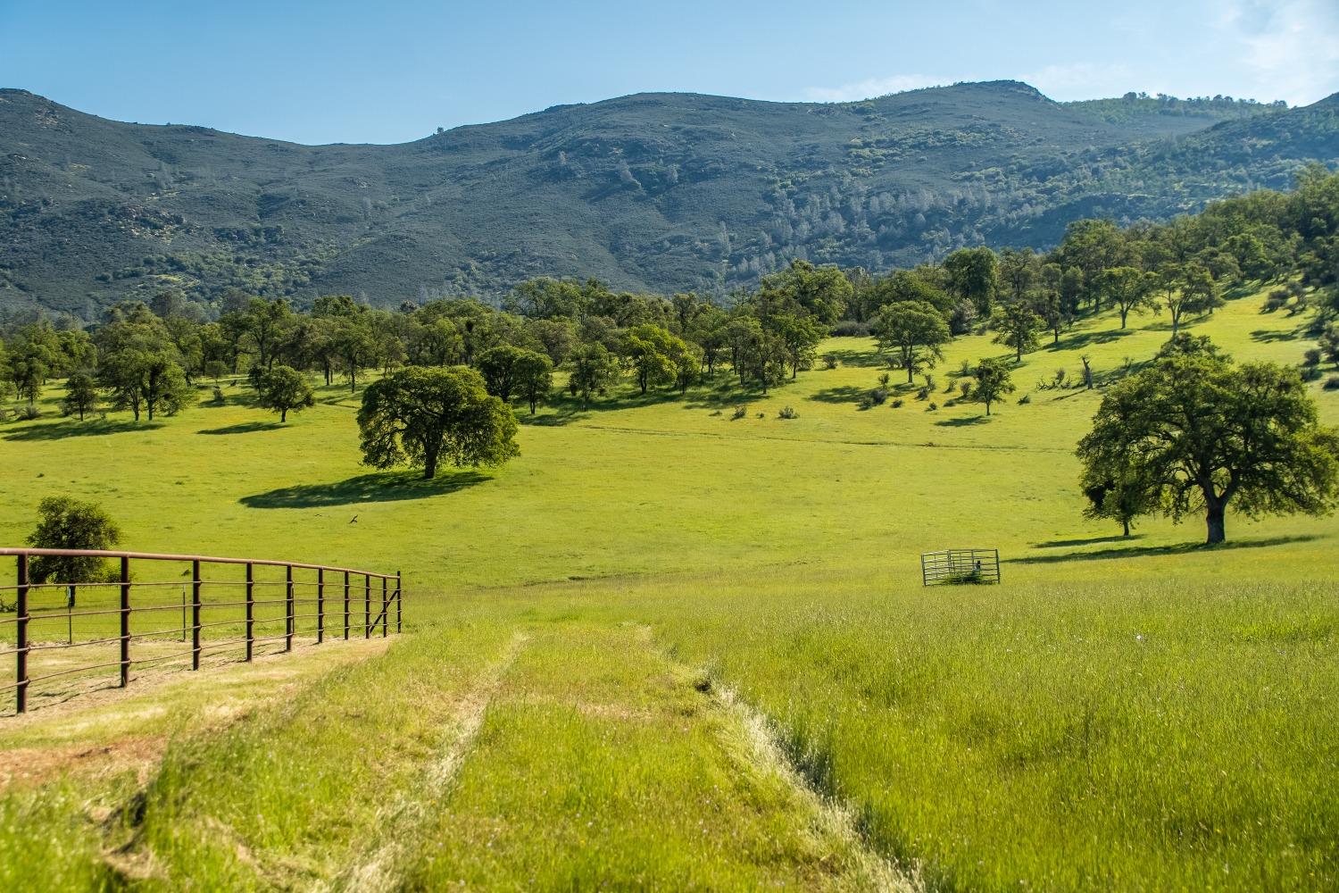 8591 Hogan Dam Road Valley Springs, CA 95252 - Photo 36 of 85