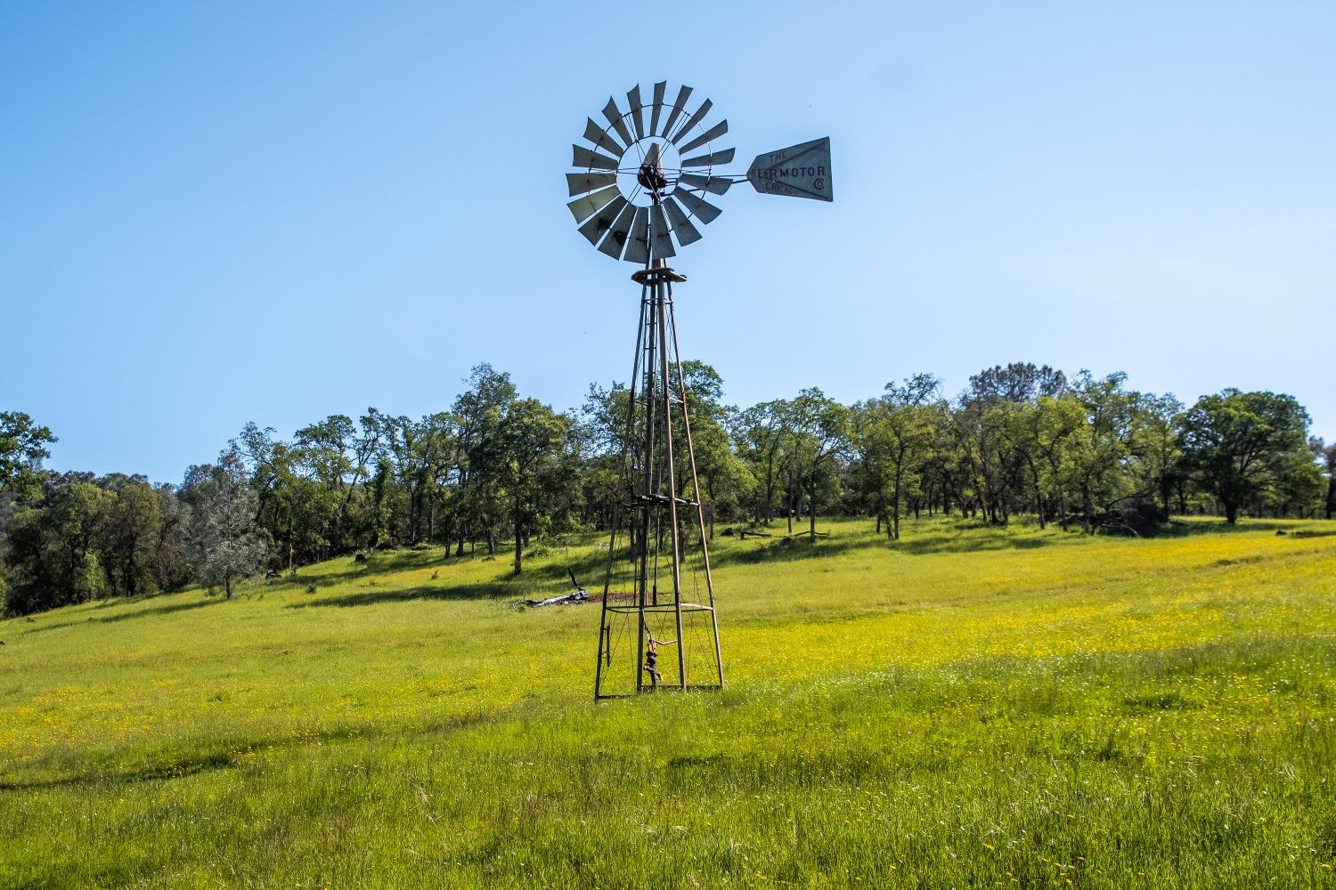 8591 Hogan Dam Road Valley Springs, CA 95252 - Photo 5 of 85