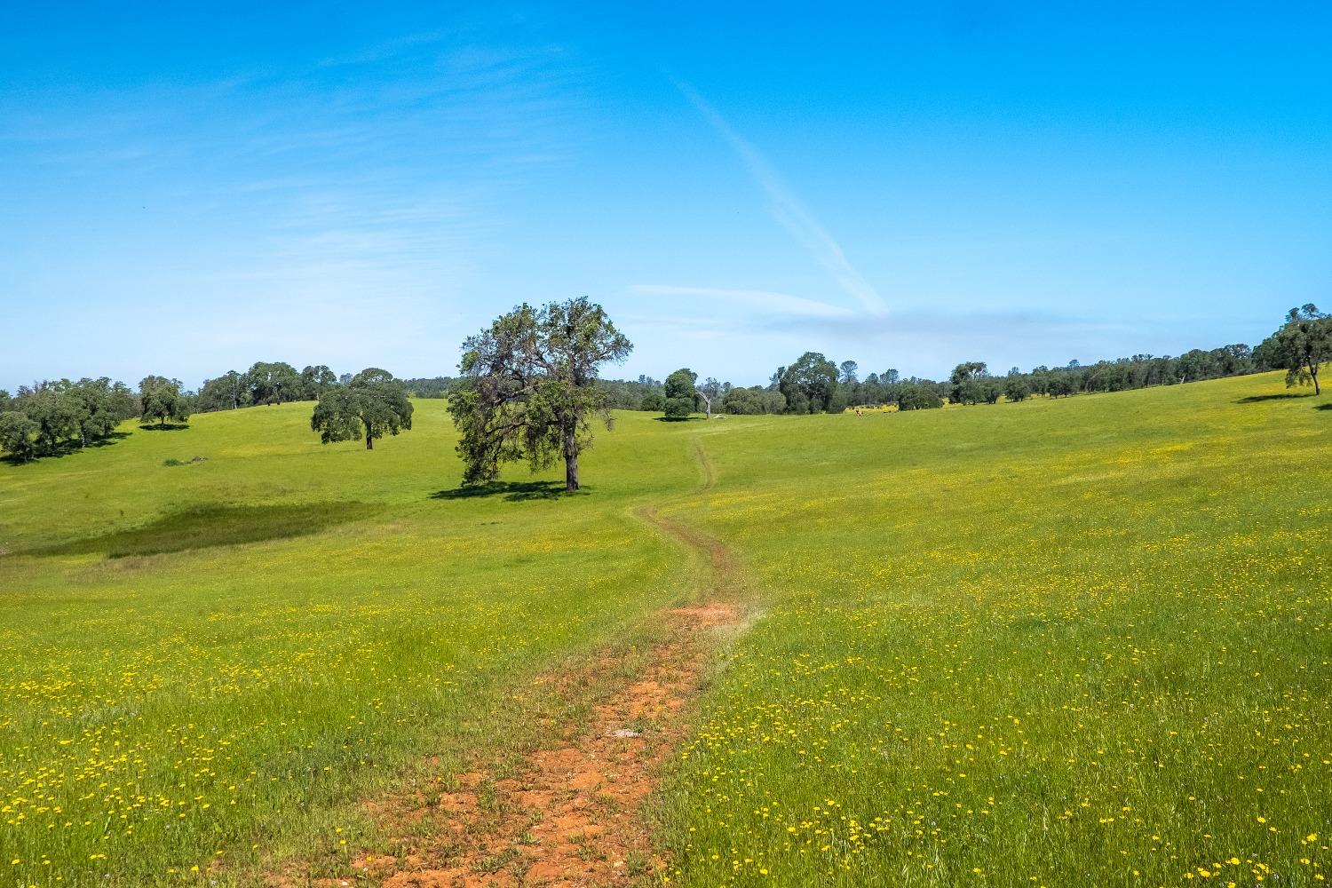 8591 Hogan Dam Road Valley Springs, CA 95252 - Photo 63 of 85