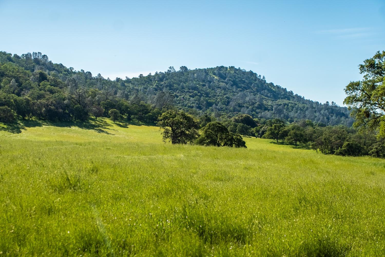 8591 Hogan Dam Road Valley Springs, CA 95252 - Photo 71 of 85
