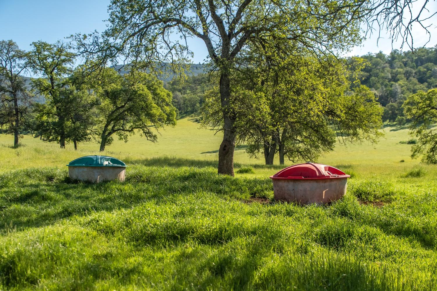 8591 Hogan Dam Road Valley Springs, CA 95252 - Photo 73 of 85