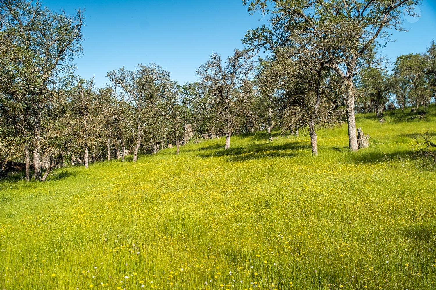 8591 Hogan Dam Road Valley Springs, CA 95252 - Photo 74 of 85