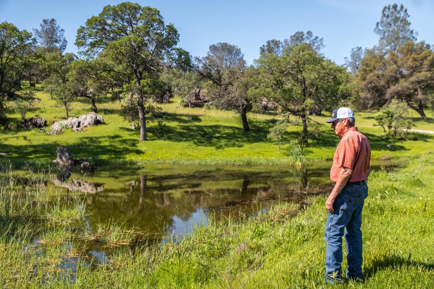 8591 Hogan Dam Road Valley Springs, CA 95252 - Photo 75 of 85