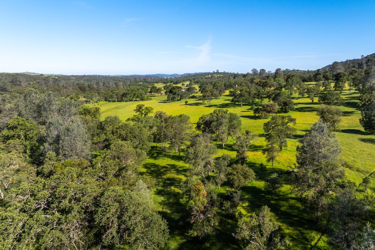 8591 Hogan Dam Road Valley Springs, CA 95252 - Photo 83 of 85