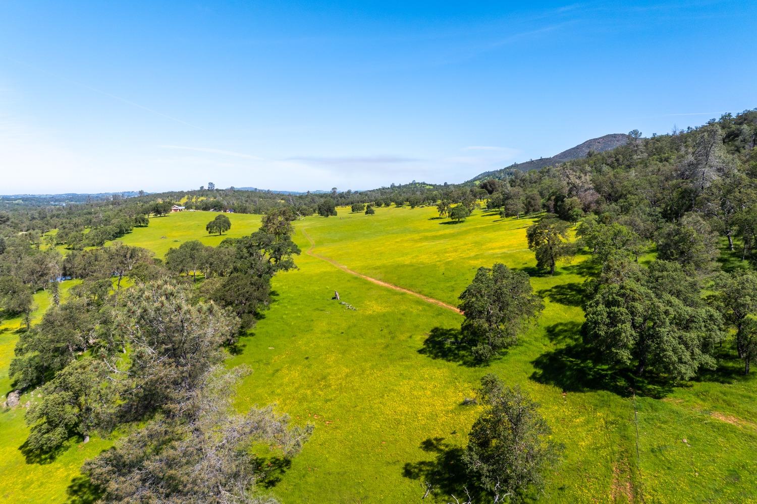 8591 Hogan Dam Road Valley Springs, CA 95252 - Photo 84 of 85