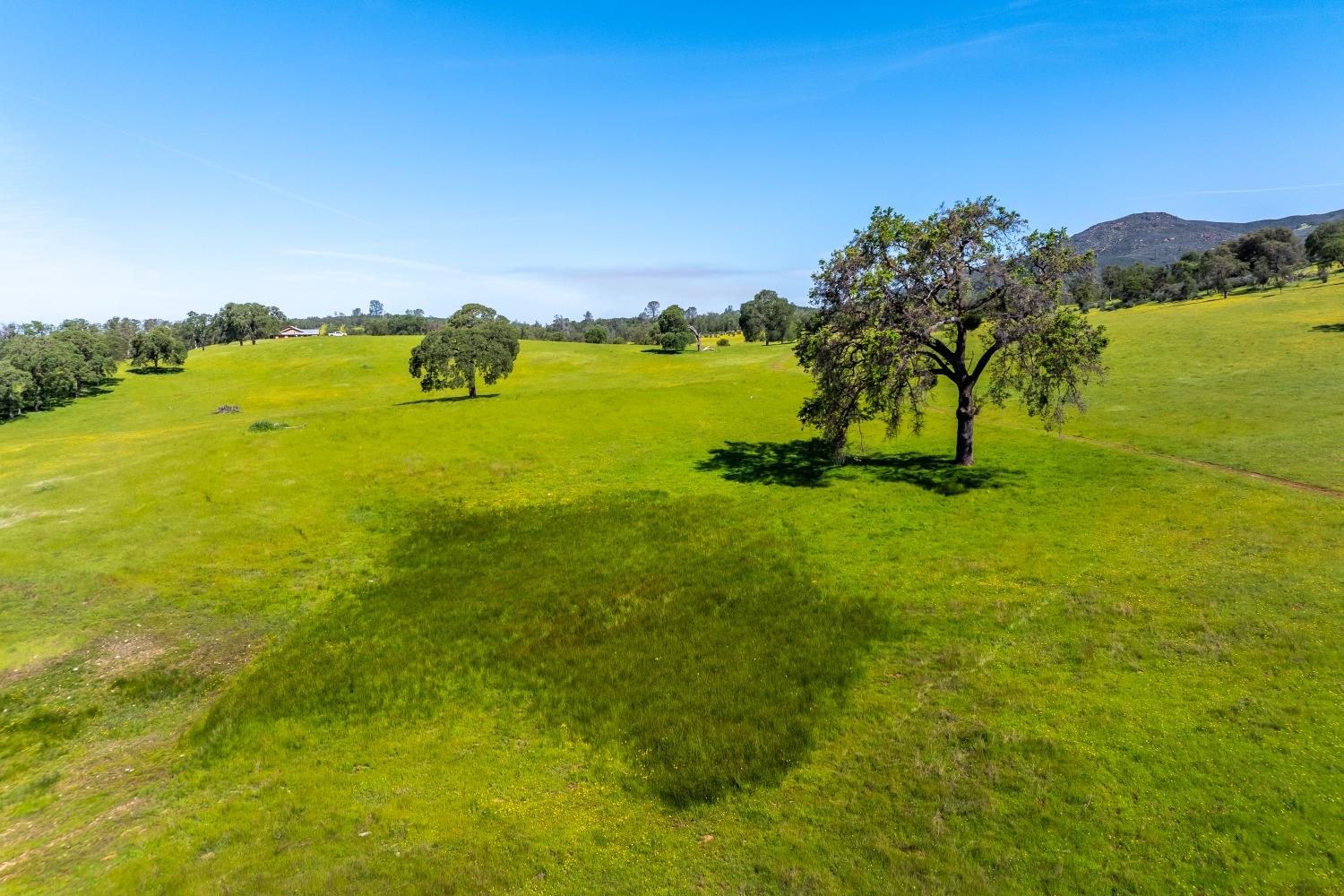 8591 Hogan Dam Road Valley Springs, CA 95252 - Photo 85 of 85