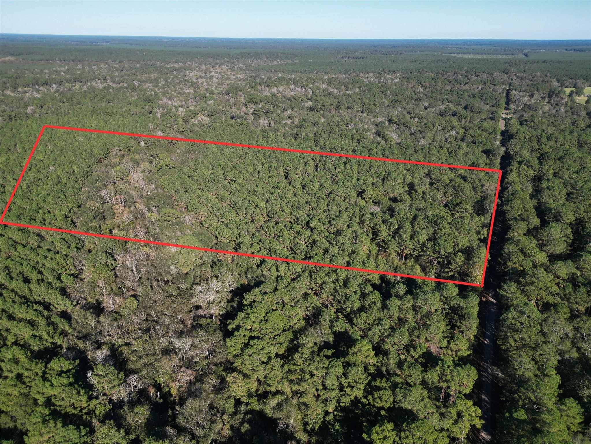 0 County Road 2125 Cleveland, TX 77327 - Photo 4 of 15