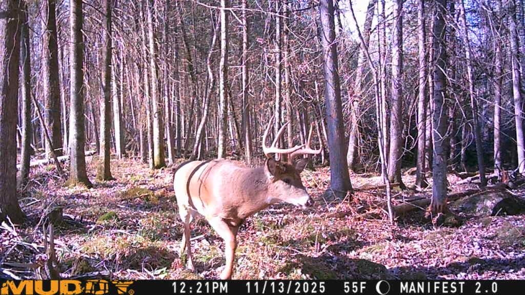 Springbrook Road Tigerton, WI 54486 - Photo 18 of 56