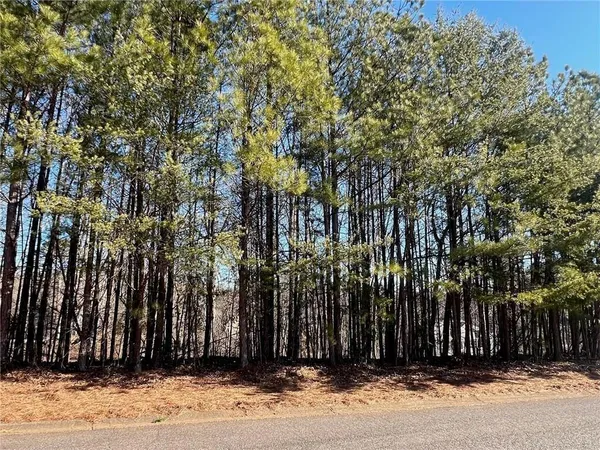 $25,000 | 920 Whistler Lane, Canton, GA 30114