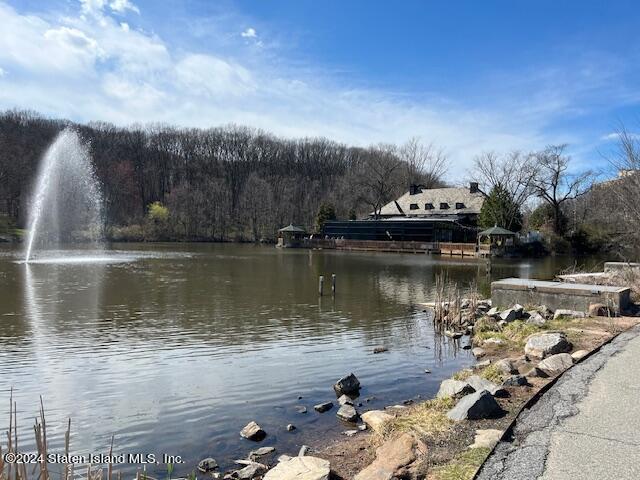 1000 Clove Road, Unit 10N Staten Island, NY 10301 - Photo 28 of 35 Clove Lake Park