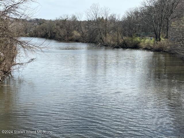 1000 Clove Road, Unit 10N Staten Island, NY 10301 - Photo 31 of 35 Clove Lake Park