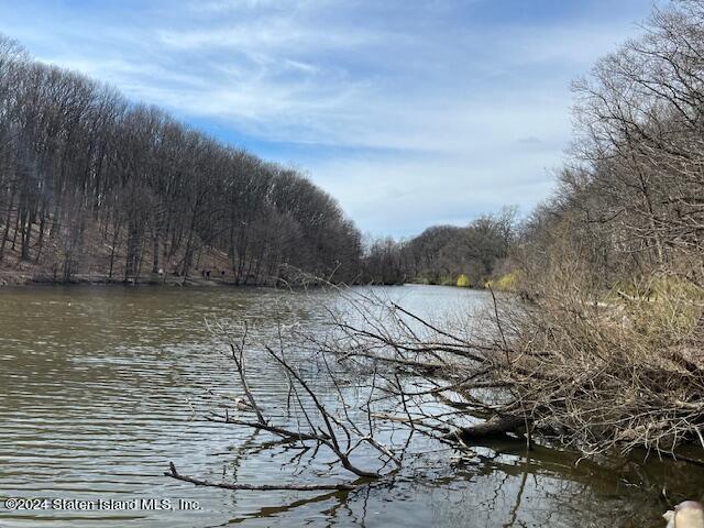 1000 Clove Road, Unit 10N Staten Island, NY 10301 - Photo 33 of 35 Clove Lake Park