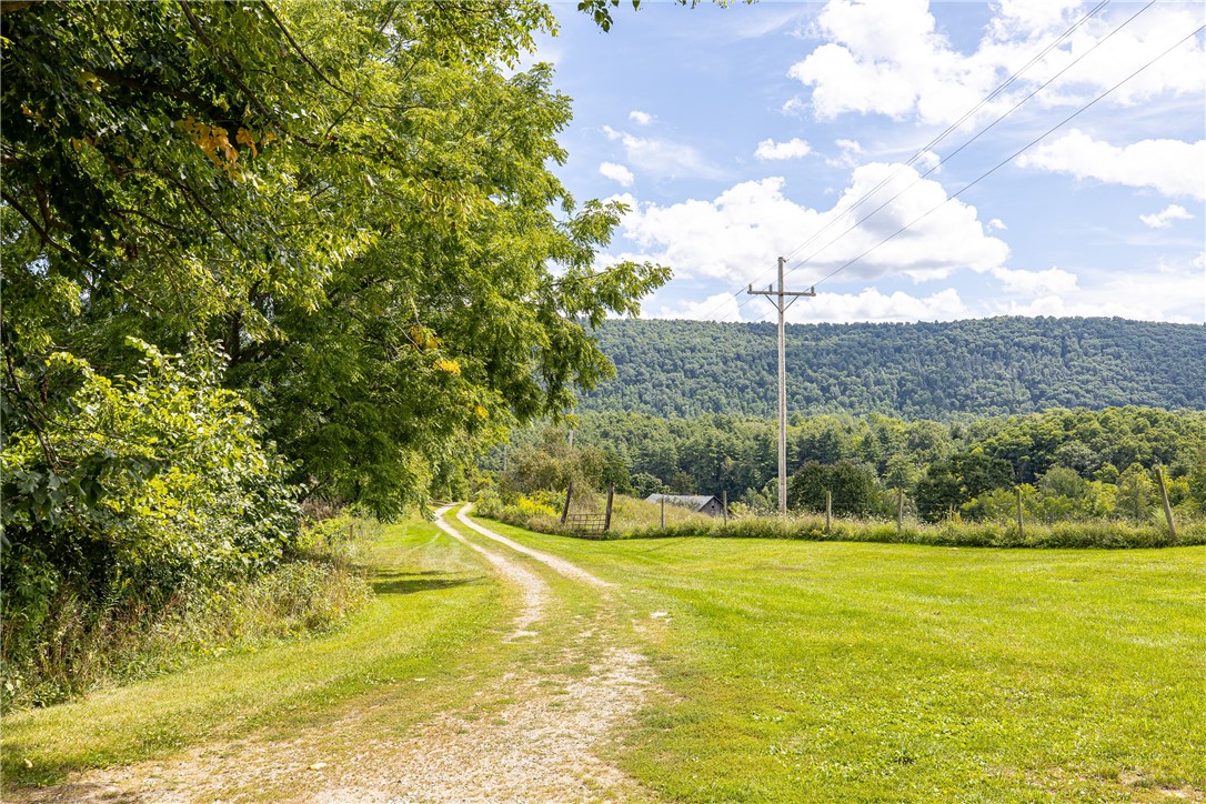7780 Cold Springs Road Bath, NY 14810 - Photo 29 of 50 A winding gravel path curves alongside a grassy field bordered by mature trees.
