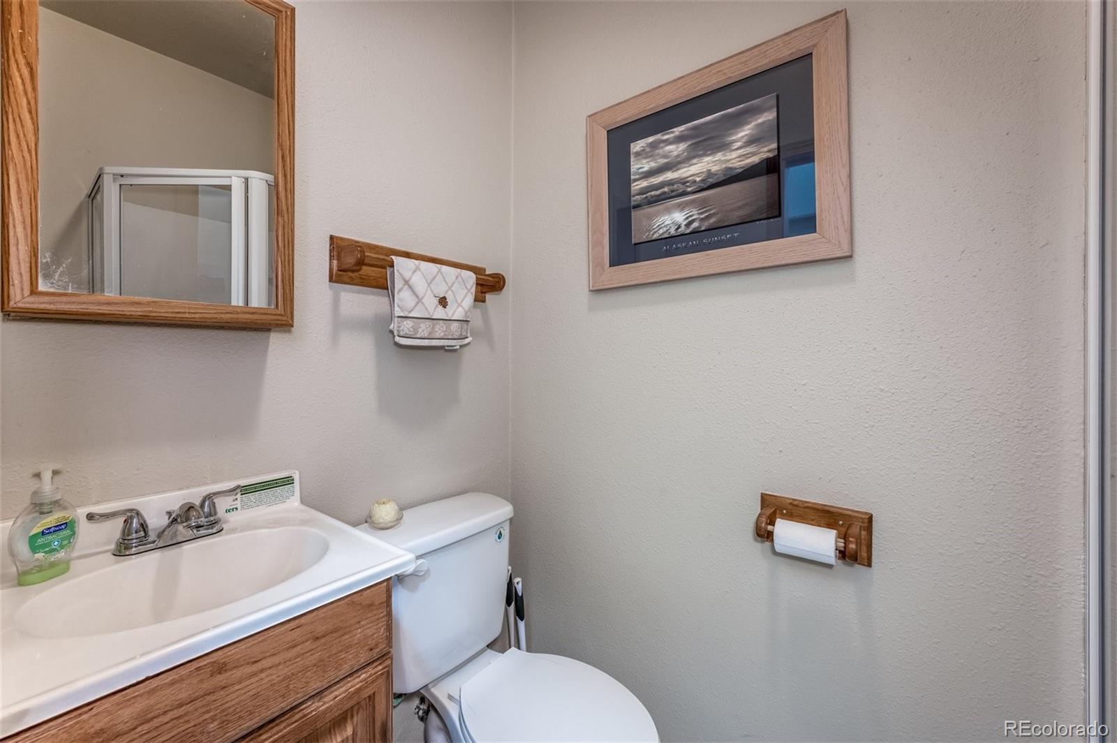 146 Jones Road Bailey, CO 80421 - Photo 21 of 24