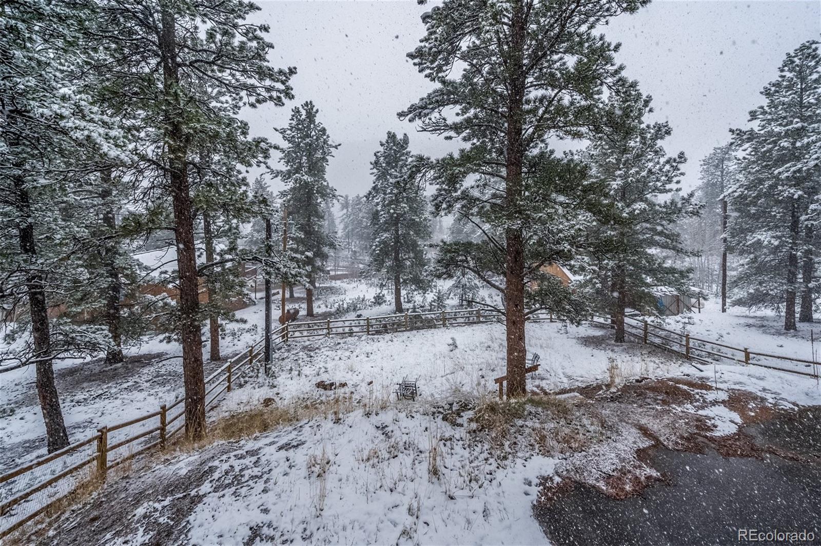 146 Jones Road Bailey, CO 80421 - Photo 22 of 24