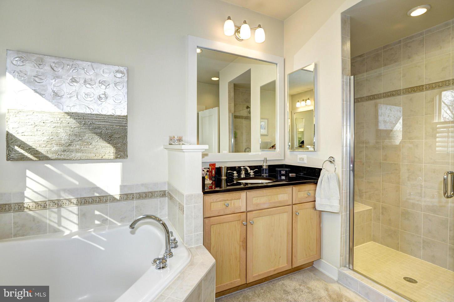 9564 Ament Street Silver Spring, MD 20910 - Photo 19 of 22 Bath (Master)