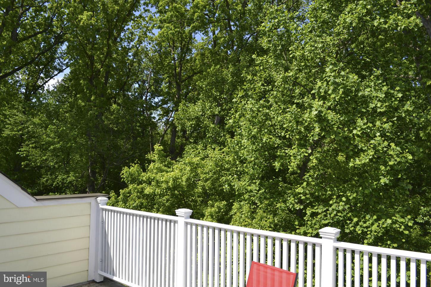 9564 Ament Street Silver Spring, MD 20910 - Photo 4 of 22 Exterior (Rear)