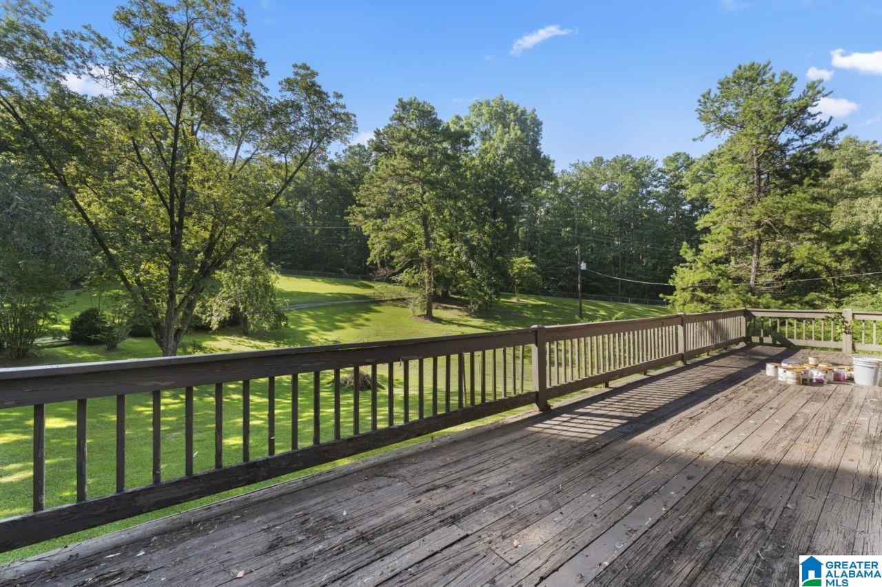 234 Loop Road Odenville, AL 35120 - Photo 4 of 58
