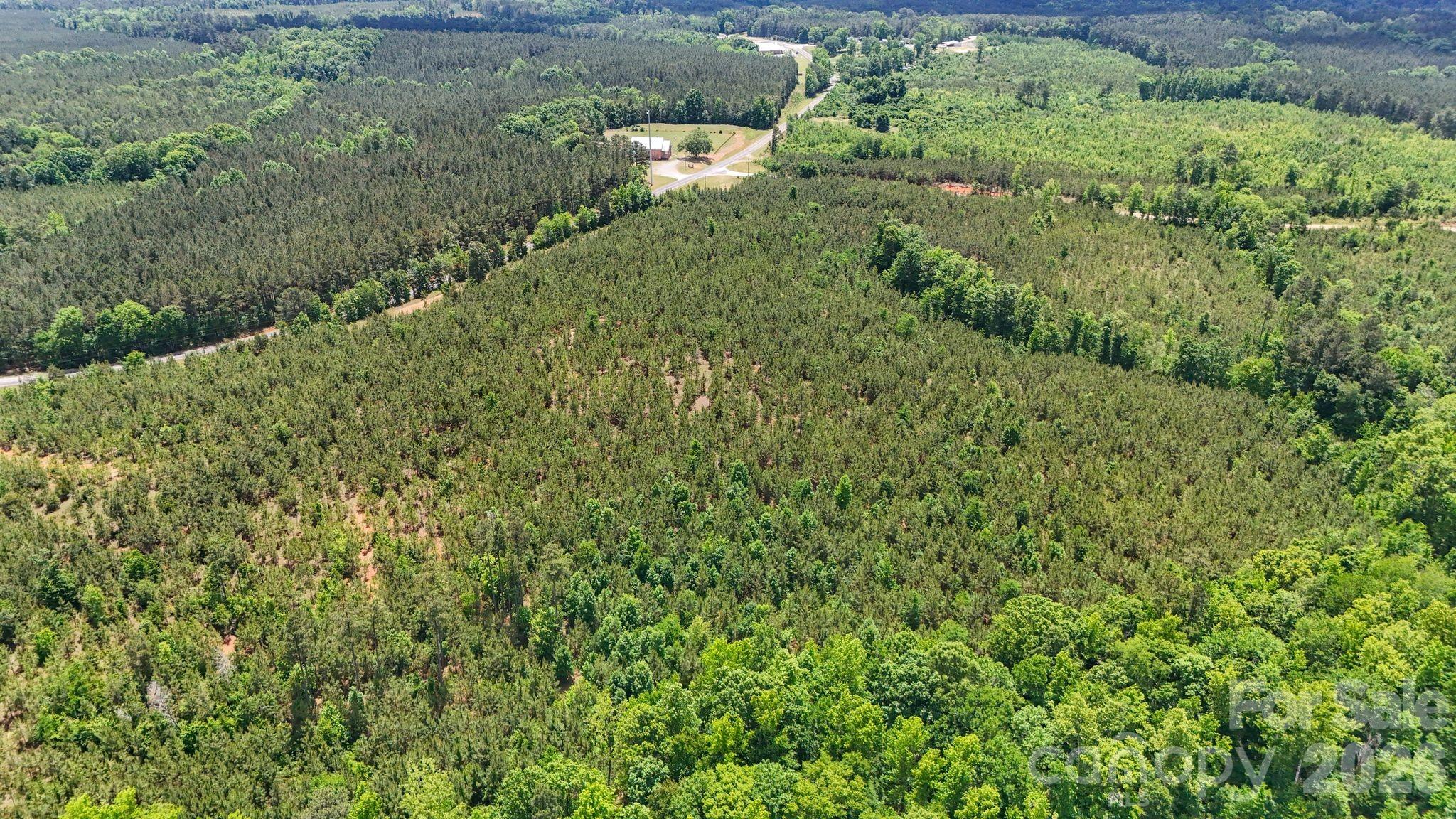 0 Cool Branch Road, Unit 3 Carlisle, SC 29031 - Photo 4 of 20
