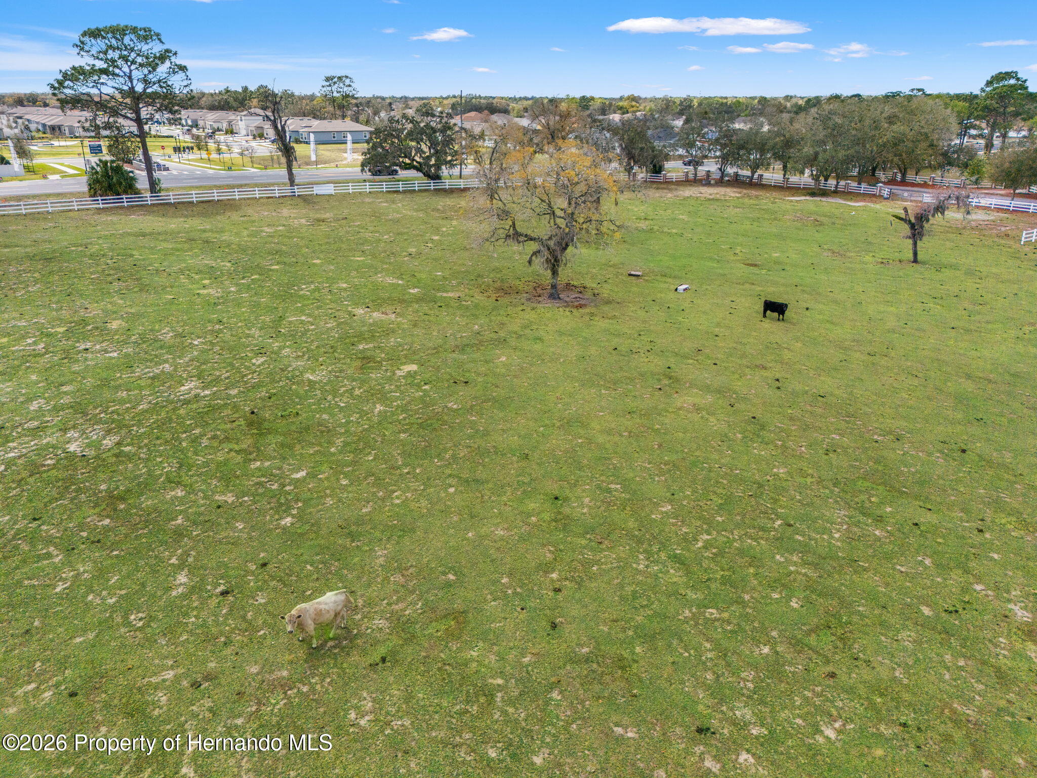 0 Gloucester Road Spring Hill, FL 34604 - Photo 34 of 47