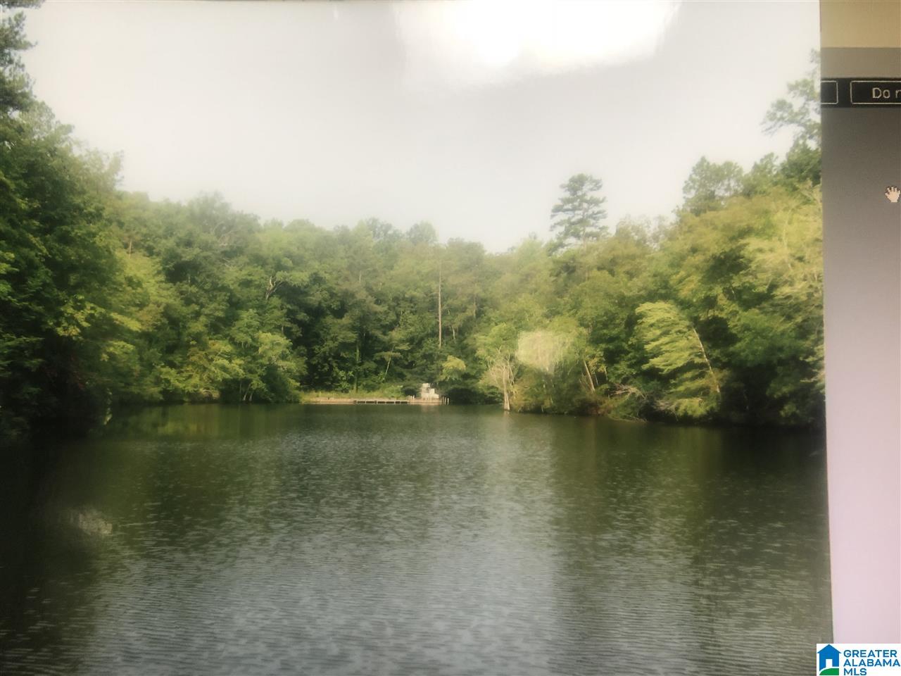 0 County Road 654 Clanton, AL 35046 - Photo 2 of 5