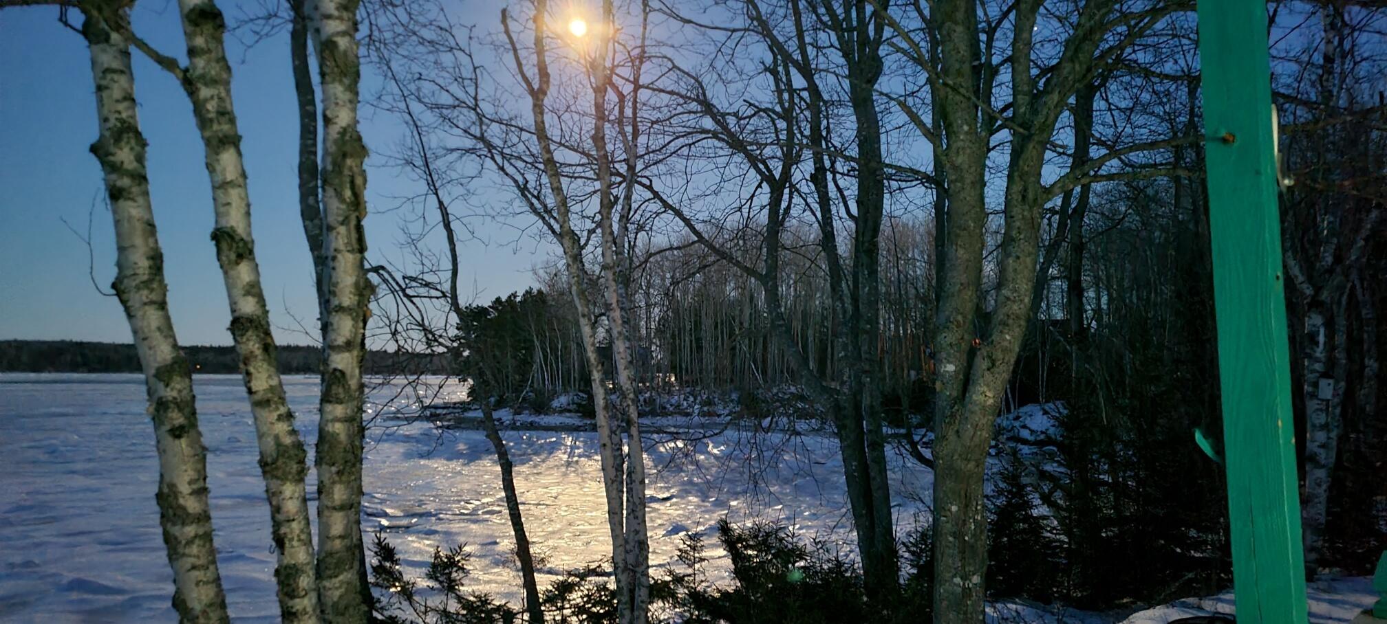 336 Rays Point Road Milbridge, ME 04658 - Photo 33 of 46